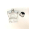 el tipo creativo de la prensa de la botella del cristal de botellas de perfume 100ml rocía los cosméticos vacíos de la botella que empaquetan el equipo